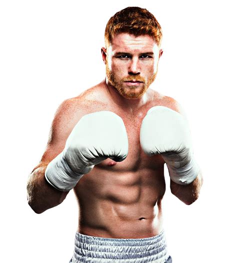 Canelo Alvarez: Bio, family, net worth