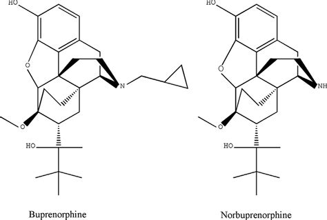 The chemical structures of buprenorphine (BUP) and norbuprenorphine (NBUP). | Download ...