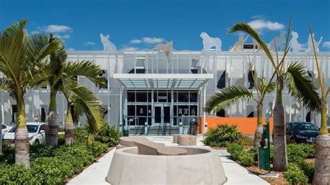 Miami-Dade’s animal shelter is a model for other cities | Miami Herald