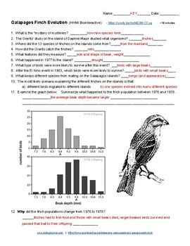 Galapagos Finch Evolution (KEY) by Biologycorner | TPT