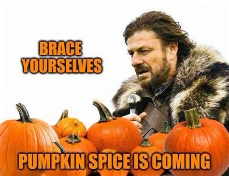 40 Pumpkin Spice Memes Images And Funny Quotes – DailyFunnyQuote