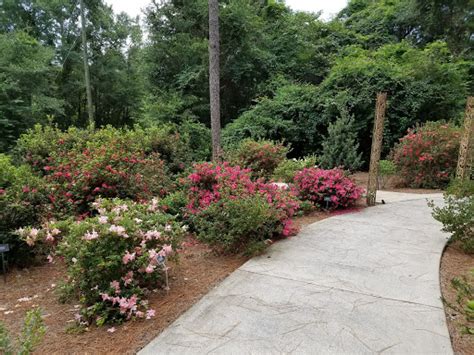 Botanical Garden «Mobile Botanical Gardens», reviews and photos, 5151 Museum Dr, Mobile, AL ...