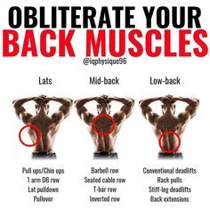 10 Best Middle back exercises ideas | workout routine, back exercises ...