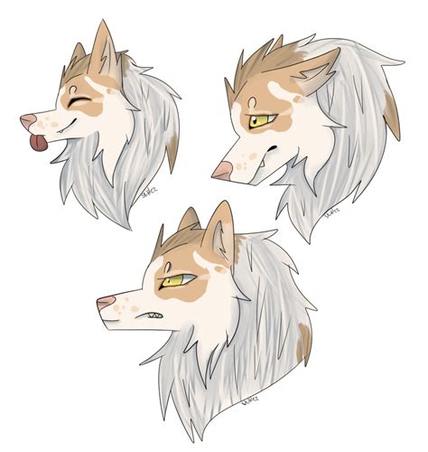 Dog Ear Character Sketch - Dog png download - 1024*1081 - Free Transparent png Download. - Clip ...