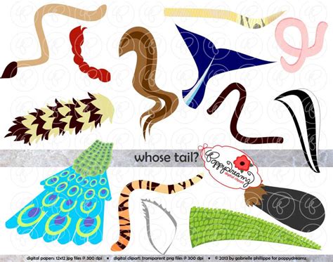 animal tail clip art - Clip Art Library