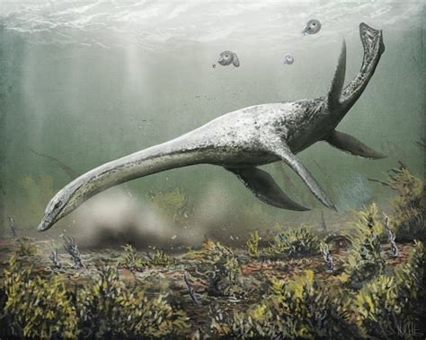 Scientists have been investigating the Loch Ness monster. This is what they've found | World ...