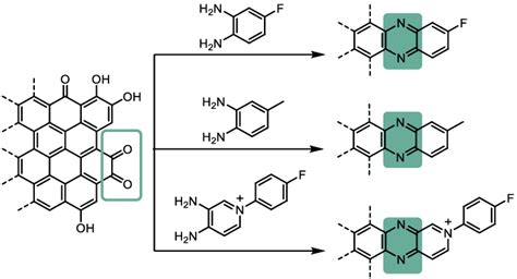 Condensation of o-phenylenediamine derivatives with the o-quinone edge... | Download Scientific ...