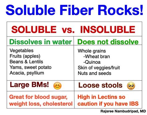 Fiber – OC Integrative Medicine