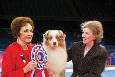 Winning Show Dogs: A Roundup of AKC National Championship Winners – American Kennel Club