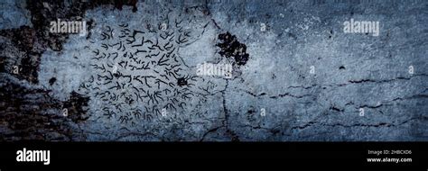 Dark scary cracked wood texture background banner for horror or ...