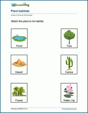 Plant habitats worksheets. In these worksheets, students match plants to their habitats and ...