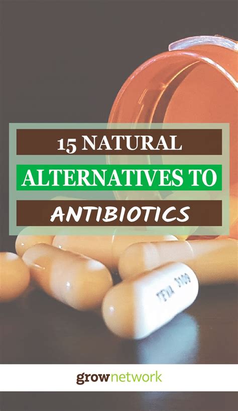 15 Natural Antibiotic Alternatives - The Grow Network | Natural ...