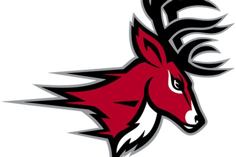 Eulogizing the 2014 College Lacrosse Season: Fairfield - College Crosse