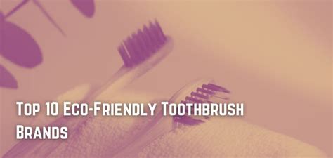 Top 10 Eco-Friendly Toothbrush Brands | Ethically Engineered