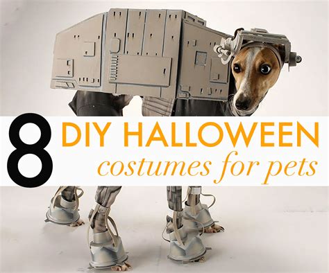 Diy Dog Halloween Costumes 2023 New Superb Stunning Magnificent - Best ...