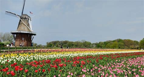 Windmill Island Gardens - Grand Haven