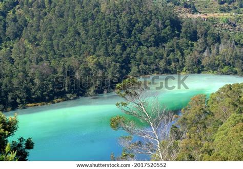 Telaga Warna Waterfall: Over 1 Royalty-Free Licensable Stock Photos | Shutterstock