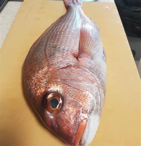 Yōshoku Madai 養殖桜鯛 / Farmed Japanese Sea Bream (Pcs) - Soshinsen