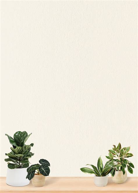 Plants on shelf background design | Premium Photo - rawpixel