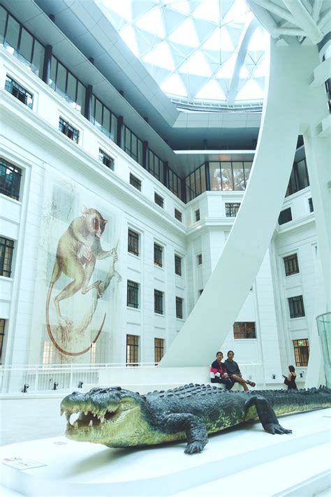 A National Treasure: The National Museum Of Natural History — A Momma ...