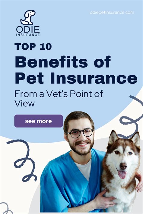 Pet Insurance: Top 10 Benefits of Pet Insurance from a Vet’s Point of View | Pet insurance, Pet ...