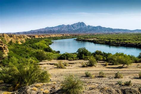 10 Unique Facts About the Sonoran Desert Sure to Blow Your Mind