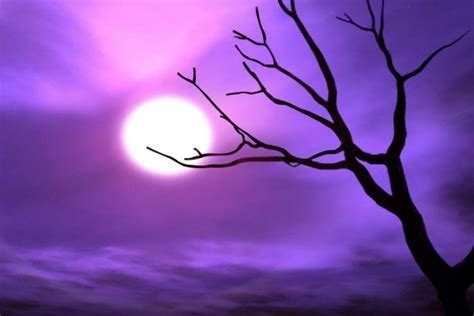 Cool Purple Backgrounds - Wallpaper Cave