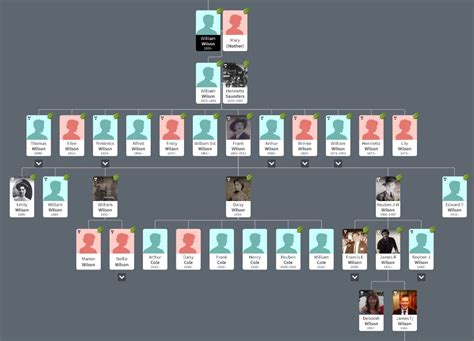 The Wilson Family Tree – Wilson Fairground History