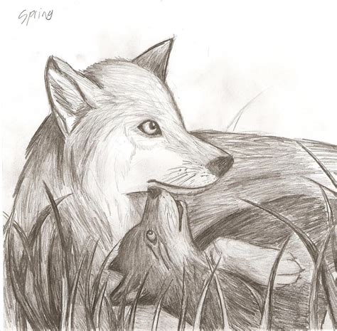 Mother Wolf And Pup by Addictivemind on DeviantArt