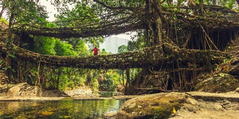 A Nature Lover’s Guide to Meghalaya - Travelogues from Remote Lands