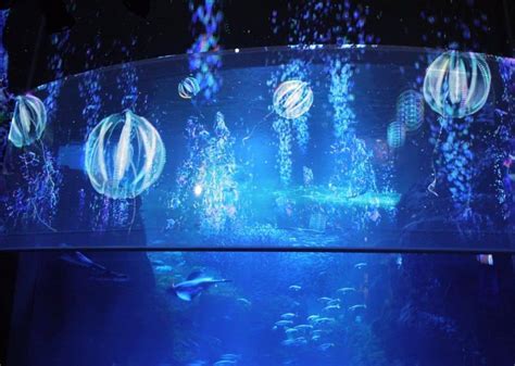 17 Cool DIY Aquarium Light Ideas