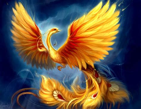 Golden Phoenix | Best Wallpapers HD Collection