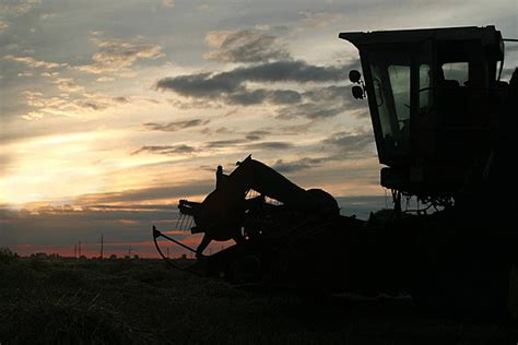 Farm Silhouette Harvesting Life Silhouette Vector, Harvesting, Life ...