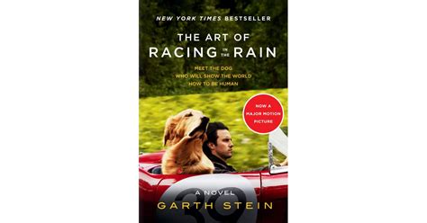 The Art of Racing in the Rain by Garth Stein | The Best Books Being Made Into Movies | 2019 ...