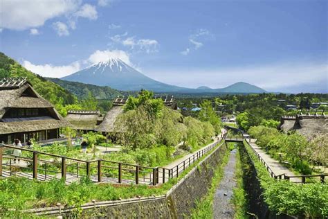 Lake Kawaguchi: A Relaxing Escape to Nature - The True Japan