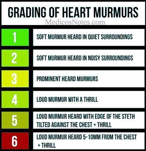 รายการ 96+ ภาพ ดูหนัง ออนไลน์ murmur of the heart ครบถ้วน