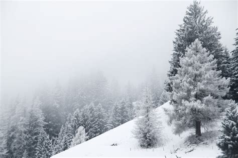 winter mist by ssilence on DeviantArt