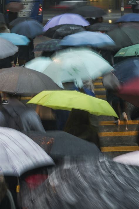 Hong Kong Observatory forecasts rainy weather for next eight of nine ...