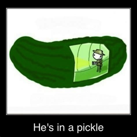 Pickles Quotes. QuotesGram