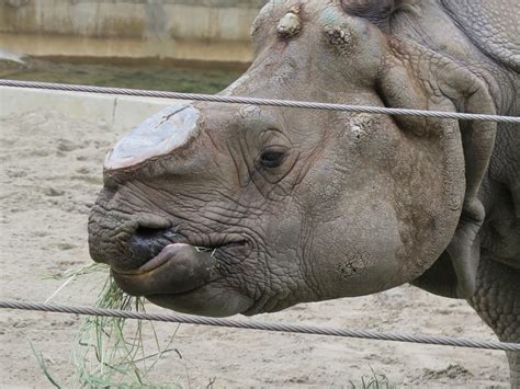 Where is Cookie?: Yahoo! San Francisco's Zoo lets you walk, talk, learn ...