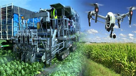 Extremely Advanced Robotic Farming On The Rise - YouTube