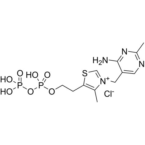 Thiamine pyrophosphate | Endogenous Metabolite | MedChemExpress