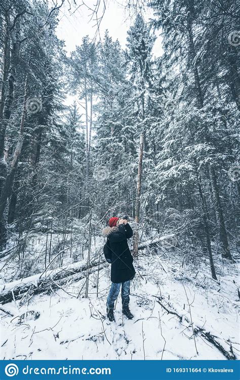 Female Photographer Takes Pictures in Snow Forest Stock Photo - Image ...