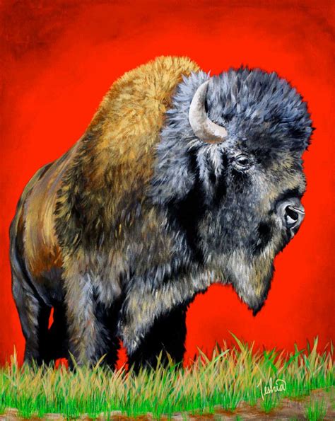 Buffalo Warrior | TeshiaArt