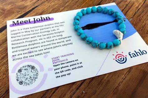 Best Dolphin Tracking Bracelet By Fahlo