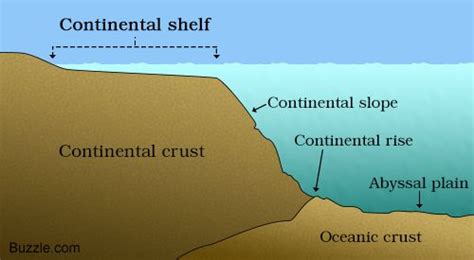 Facts About the Continental Shelf with Diagram