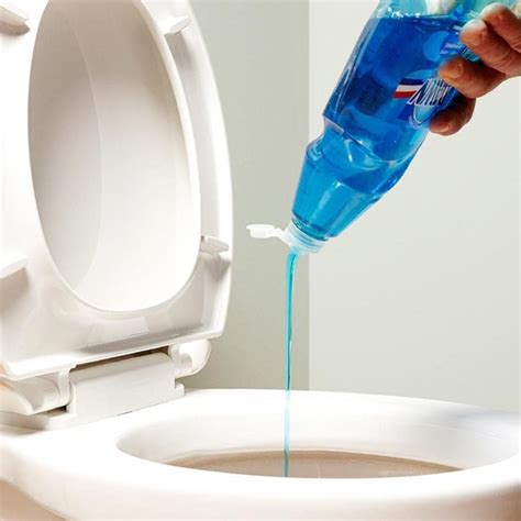 10 Tips For Cleaning and Maintaining Your Toilet | Family Handyman