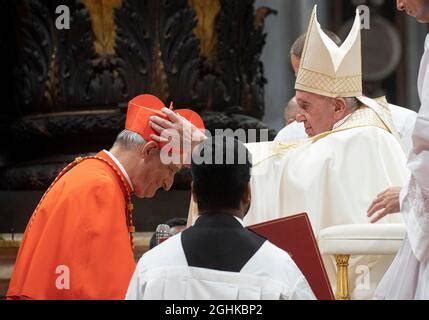 Pope Francis during the Catholic Church's World Youth Day celebrations in Rio de Janeiro ...