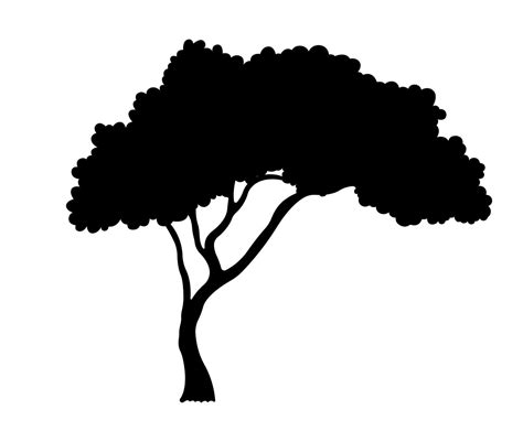 African Tree Silhouette, branch And Leaves Illustration. Silhouette ...