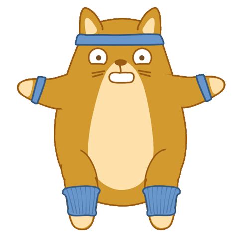 a brown cat with blue socks and a headband on it's face is standing in front of the camera